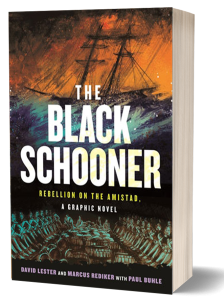The Black Schooner book cover